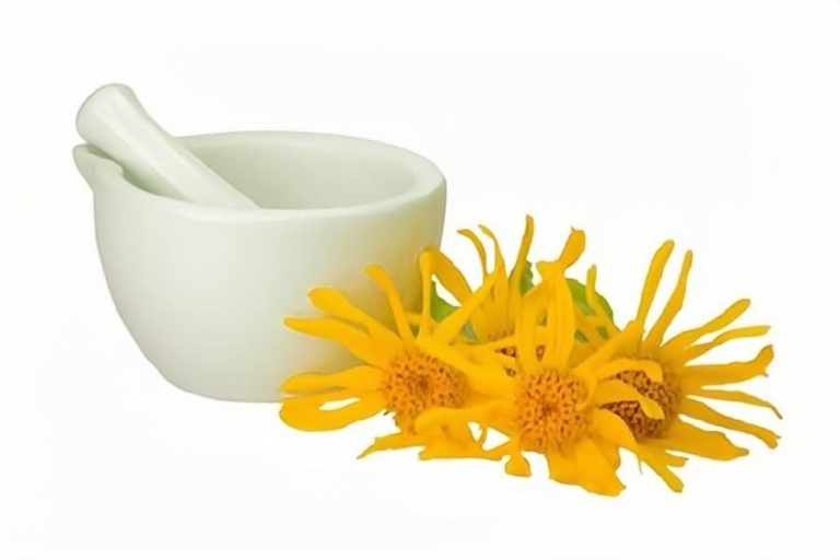 What is Arnica Tea Good For