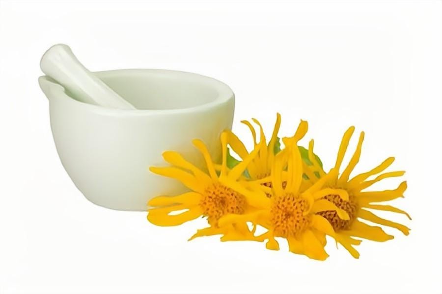 What is Arnica Tea Good For