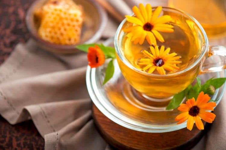 the health benefits of arnica tea